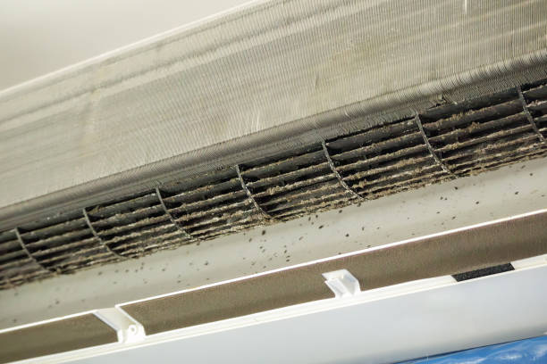 Best Dryer Vent Cleaning Services  in West St Paul, MN